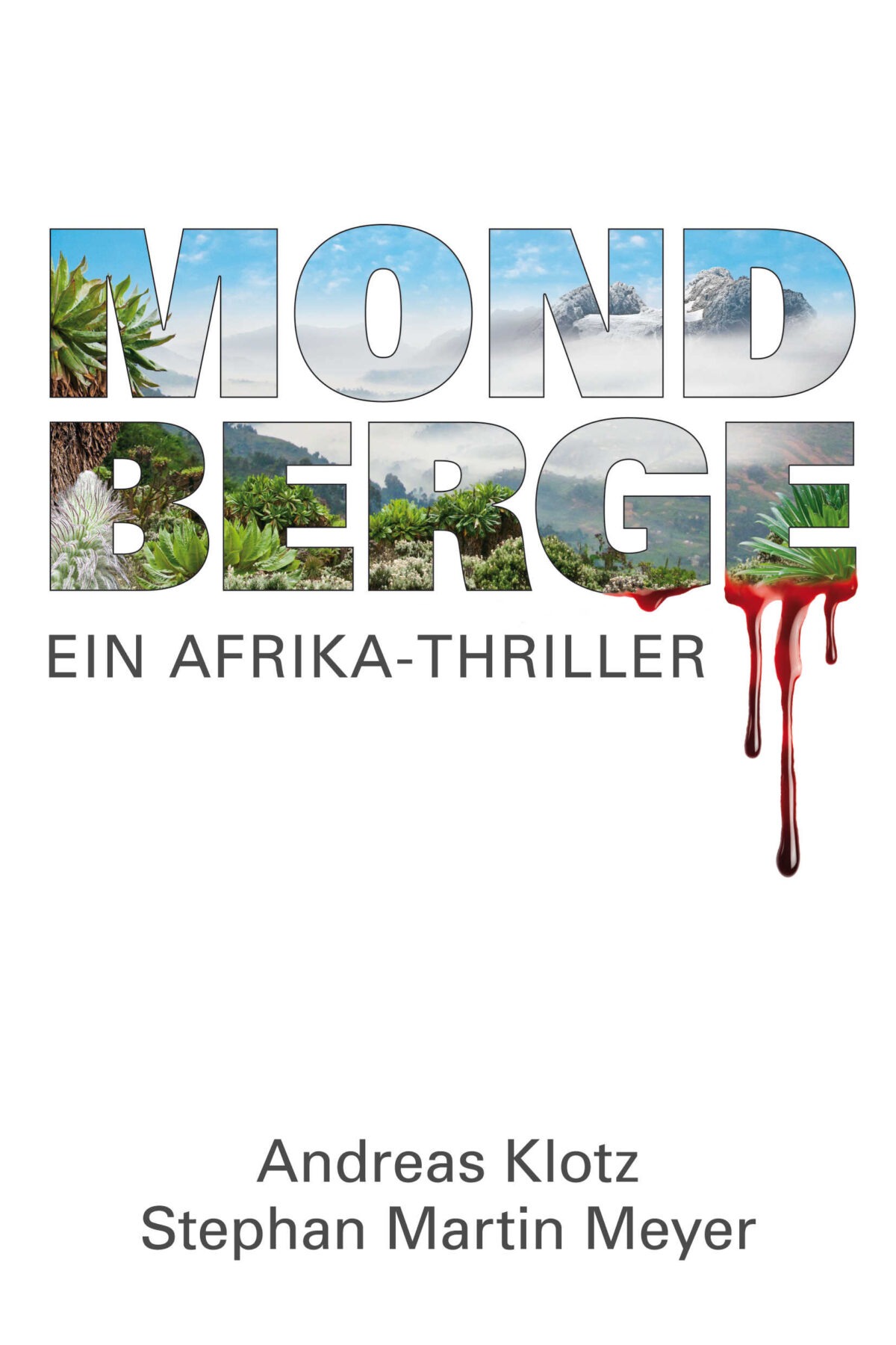 MONDBERGE - Ein Afrika-Thriller